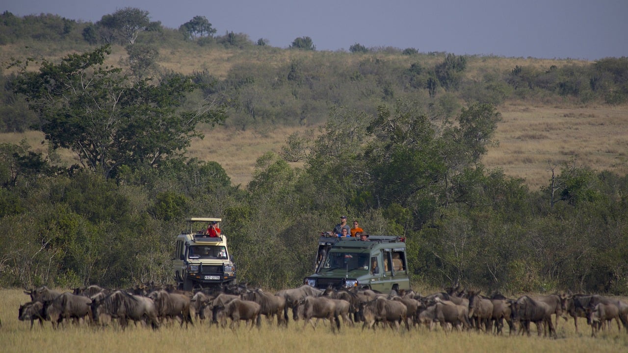 The Role of Ecotourism in Conserving Biodiversity